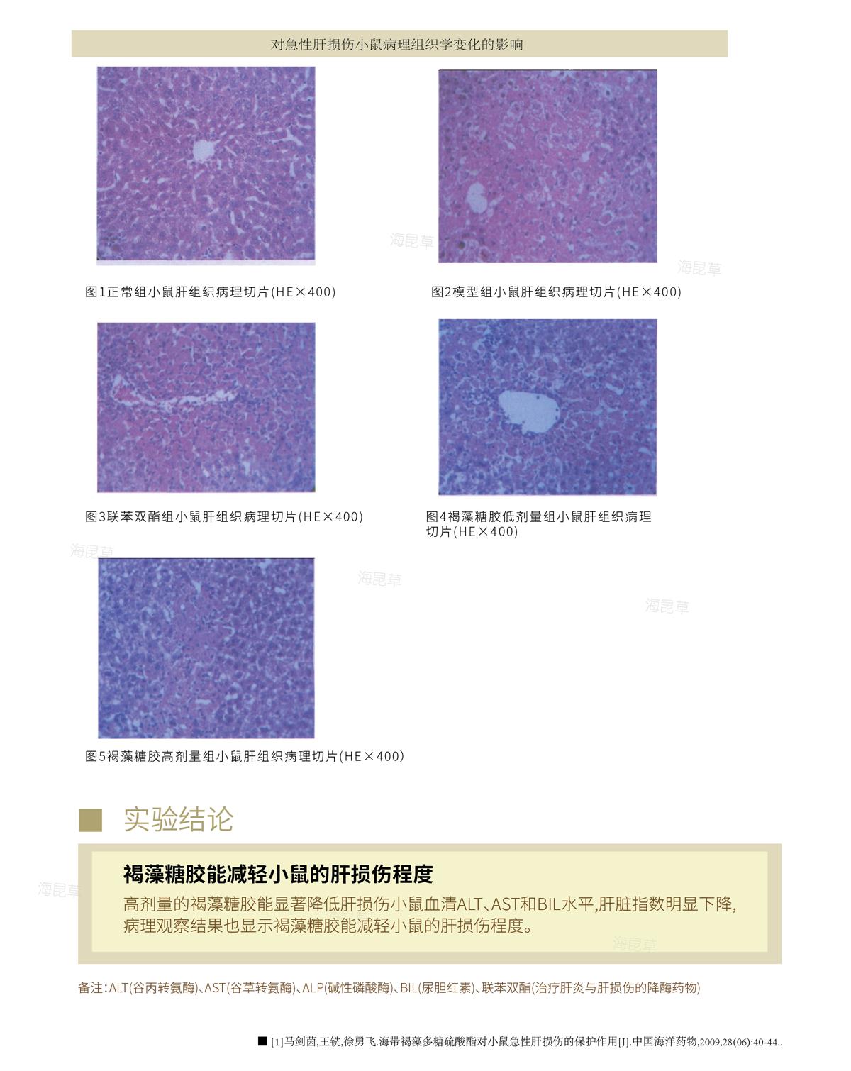 功效研究-肝肾篇2.jpg